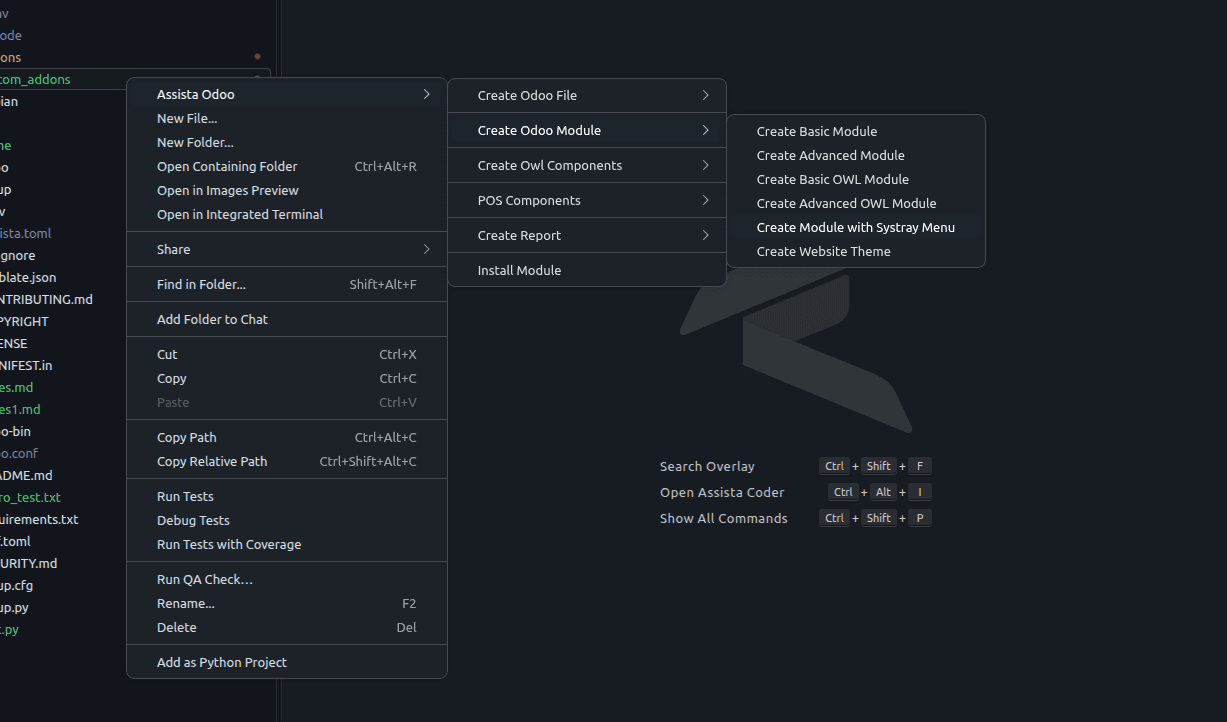 The Assista Odoo menu with Create Odoo Module